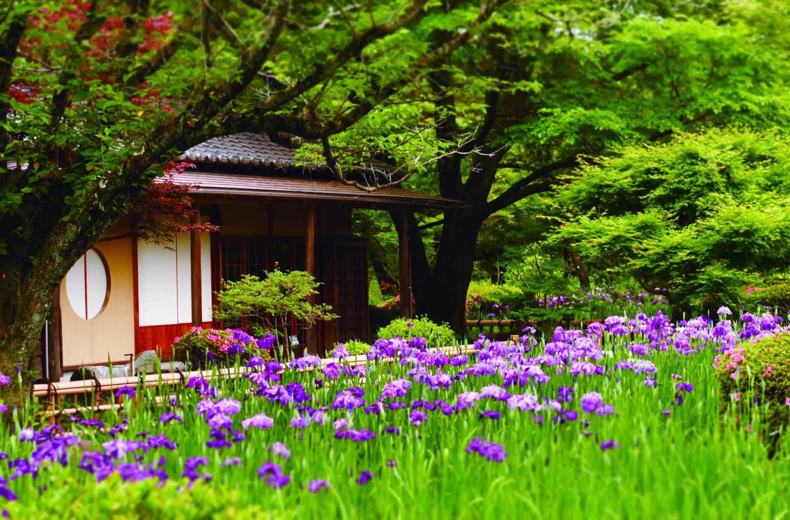 🌳 아와키가하라 삼림공원 시민의 숲 (아와키가하라신린코엔 시민노모리) 이미지 8
